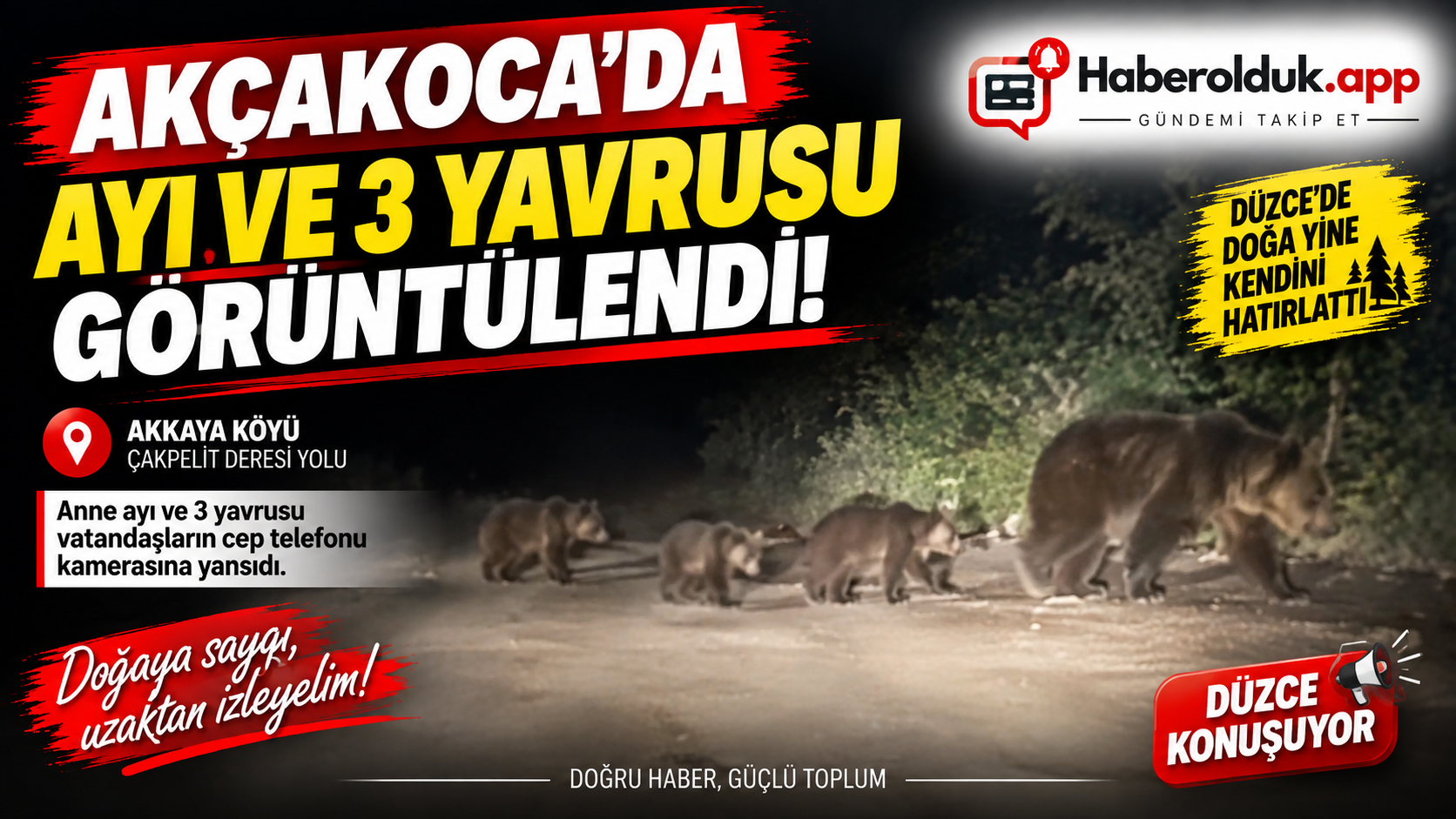 AKÇAKOCA’DA AYI VE 3 YAVRUSU GÖRÜNTÜLENDİ